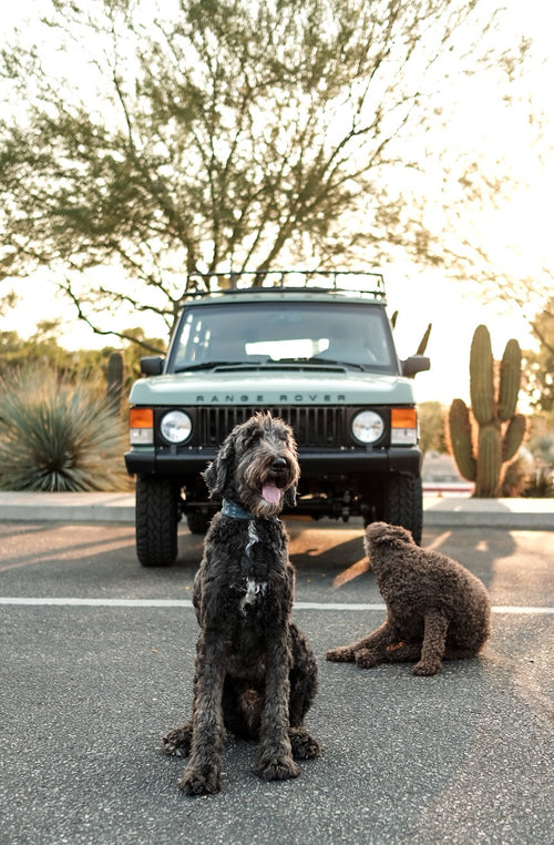 1995 Range Rover Classic